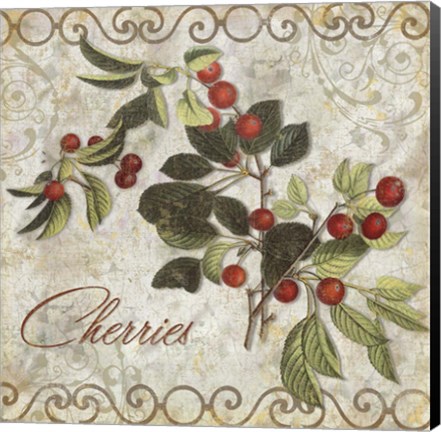 Framed Pastoral Fruits III Print