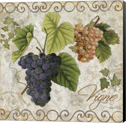 Framed Pastoral Fruits IV Print