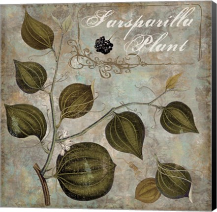 Framed Flavor Blossoms I Print