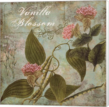 Framed Flavor Blossoms II Print