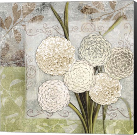 Framed Dahlias for Donna I Print