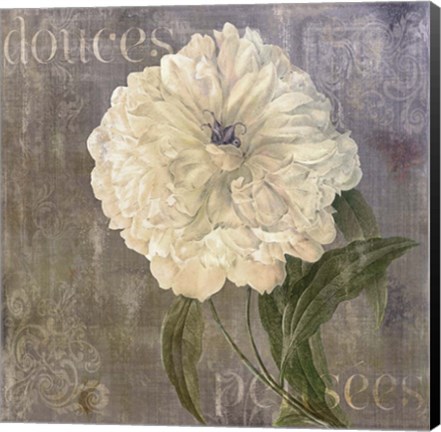 Framed Douces Pensees Print