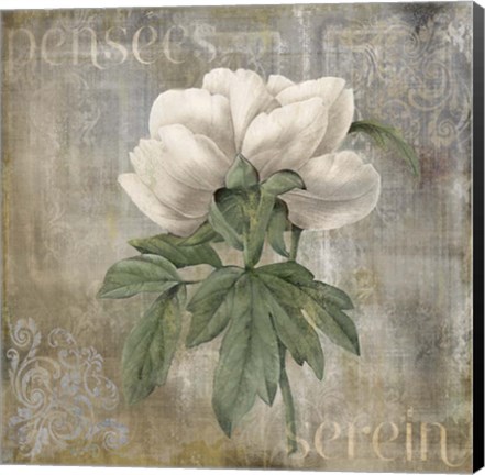 Framed Pensees Serein Print