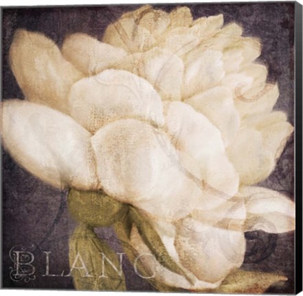 Framed Coleurs Blanc Print