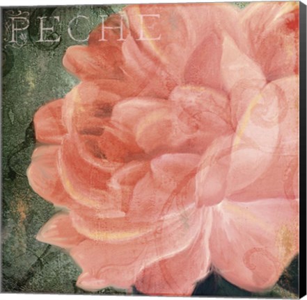 Framed Coleurs Peche Print