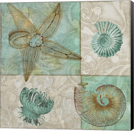 Framed Sea Life I Print