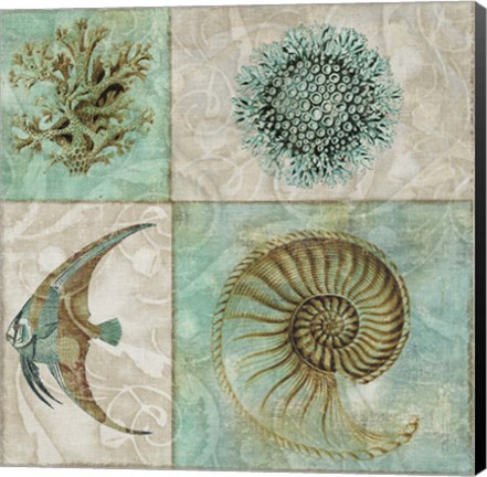 Framed Sea Life II Print