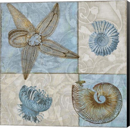 Framed Sea Life V Print