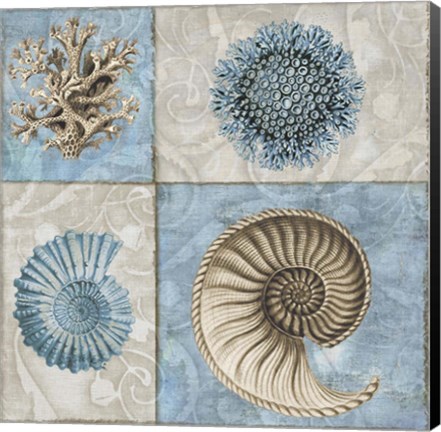 Framed Sea Life VI Print