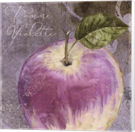 Framed Violette IV Print