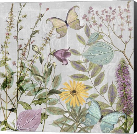 Framed Botanique I Print