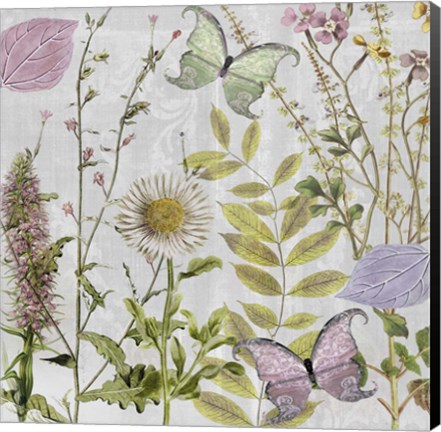 Framed Botanique II Print