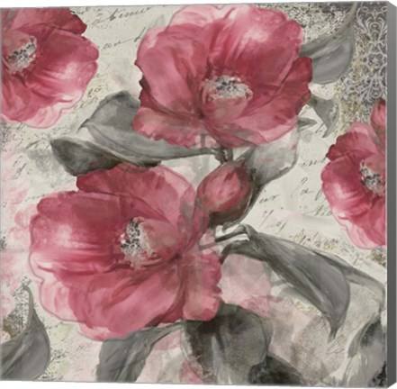 Framed Blush I Print