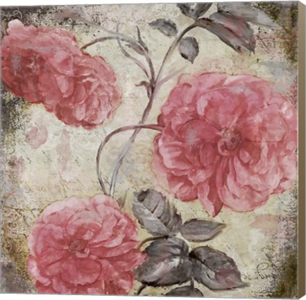 Framed Blush II Print