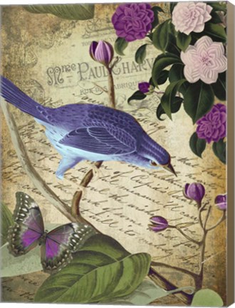 Framed Petals and Wings II Print