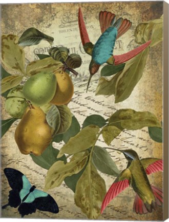 Framed Petals and Wings III Print