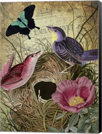 Framed Petals and Wings IV Print