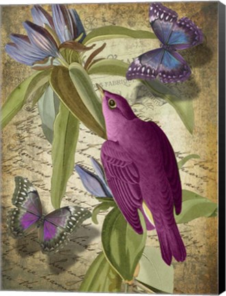 Framed Petals and Wings VI Print