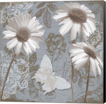 Framed Daisy Recital II Print