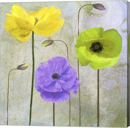 Framed Garden Shimmer II Print