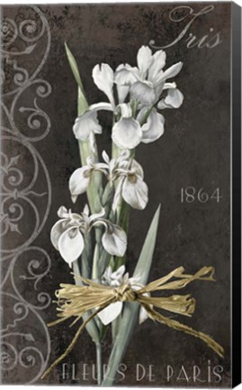 Framed Fleurs de Paris II Print