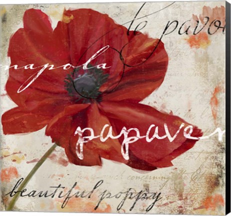 Framed Le Pavot I Print