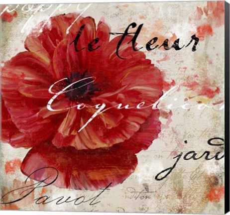 Framed Le Pavot II Print