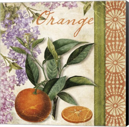 Framed Summer Citrus II Print