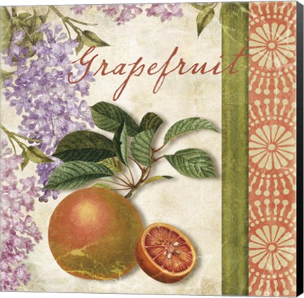 Framed Summer Citrus III Print