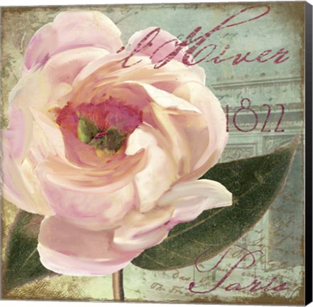 Framed Saisons II Print