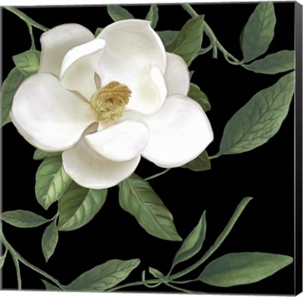 Framed Sweet Magnolias II Print