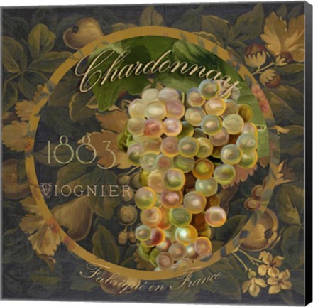 Framed Wines of France I Print