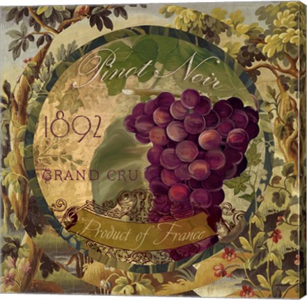 Framed Wines of France II Print
