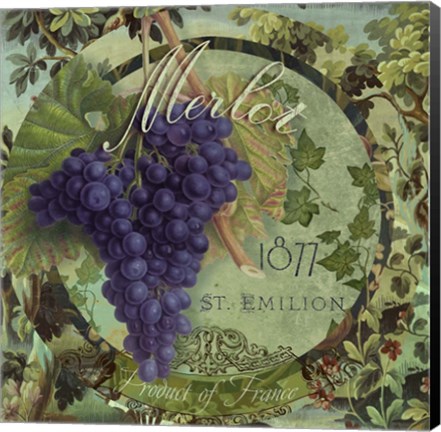 Framed Wines of France III Print