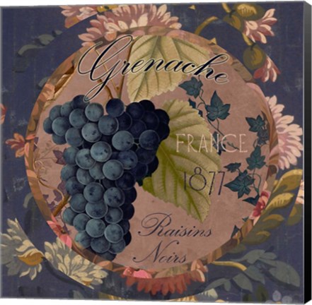 Framed Wines of France IV Print