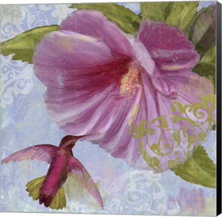 Framed Humming Hibiscus I Print