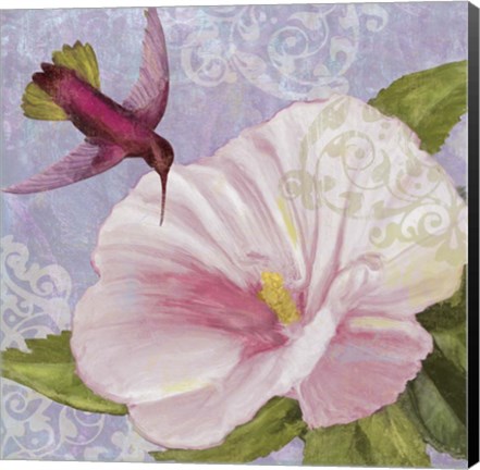 Framed Humming Hibiscus II Print