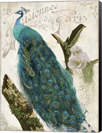 Framed Les Paons I Print