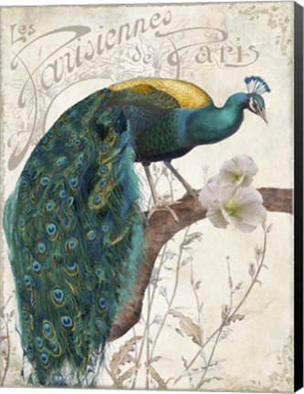 Framed Les Paons II Print
