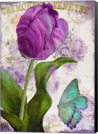 Framed Parrot Tulips II Print