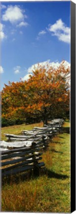 Framed Fence in a Park, Blue Ridge Parkway, Virginia Print