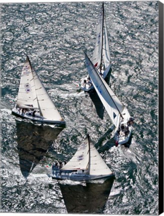 Framed Sailboats in Swan NYYC Invitational Regatta, Newport, Rhode Island Print