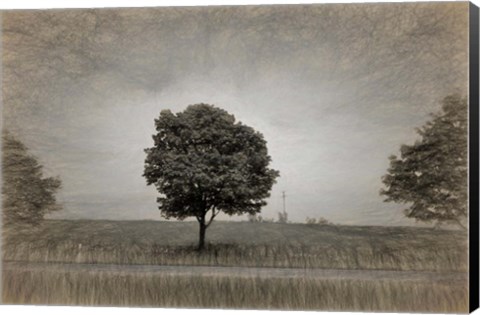 Framed Tree with Rape Field in Springtime Print