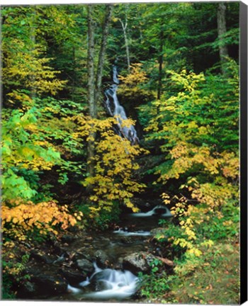Framed Moss Glen Falls, Granville Reservation State Park, Vermont Print