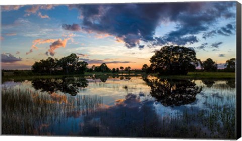 Framed Small Pond at Sunset, Venice, Florida Print