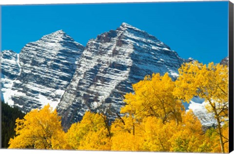 Framed Trees with Mountain Range in the Background, Maroon Creek Valley, Aspen, Colorado Print