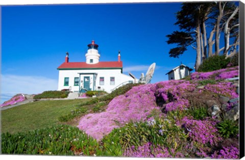 Framed Battery Point Lighthouse, Crescent City, California Print