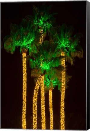 Framed Illuminated Palm Trees at Dana Point Harbor, California Print