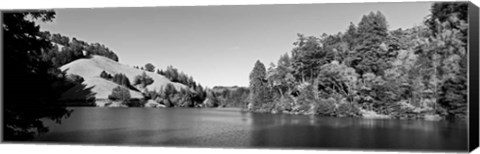 Framed Lake Lagunitas, California (BW) Print