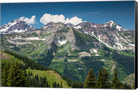 Framed Trees on a Mountain, Crested Butte, Colorado Print